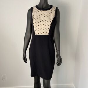 Sandra Darren Nordstrom polkadot elegant dress 10